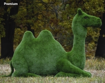 Топиари Верблюд - газон Premium