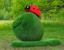 Топиари композиция Божья коровка на яблоке Гренни - газон Eco Green + Eco, фото 1