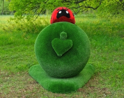 Топиари композиция Божья коровка на яблоке Гренни - газон Eco Green + Eco, фото 4