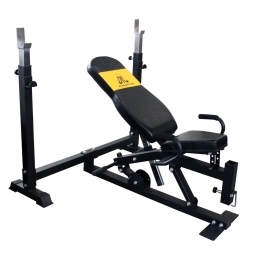 Силовая скамья со стойками DFC POWERGYM BN014, фото 1