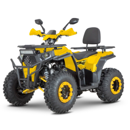 Квадроцикл Dazzle ATV200 Комплектация 1, фото 2 Квадроцикл Dazzle ATV200 Комплектация 1, фото 2
