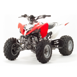 Квадроцикл Motoland 250S Квадроцикл Motoland 250S