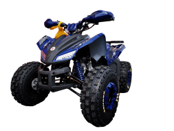 Квадроцикл MOTOLAND 125 Coyote Pro, фото 3 Квадроцикл MOTOLAND 125 Coyote Pro, фото 3