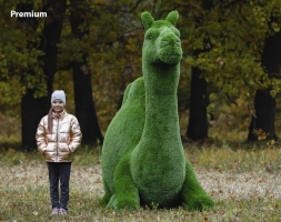 Топиари Верблюд - газон Deluxe, фото 6