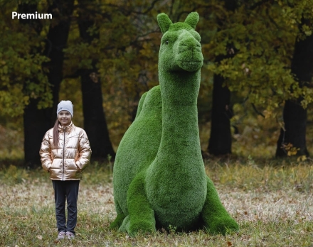 Топиари Верблюд - газон Deluxe, фото 6