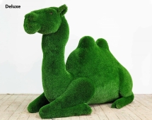 Топиари Верблюд - газон Deluxe