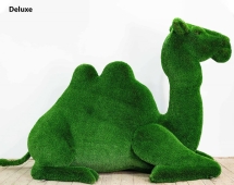 Топиари Верблюд - газон Deluxe