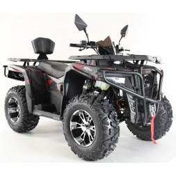 Квадроцикл MOTAX ATV Grizlik 300, фото 3