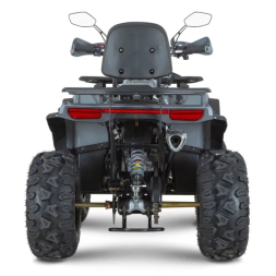 Квадроцикл Dazzle ATV200 Комплектация 2, фото 12