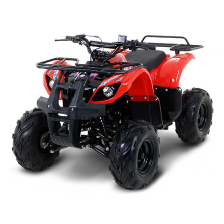 Квадроцикл Русская Механика (RM) РЫСЬ 110U, фото 1