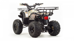 Квадроцикл MOTOLAND 125 Fox, фото 4 Квадроцикл MOTOLAND 125 Fox, фото 4