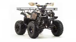 Квадроцикл MOTOLAND 125 Fox, фото 3 Квадроцикл MOTOLAND 125 Fox, фото 3