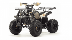 Квадроцикл MOTOLAND 125 Fox, фото 1 Квадроцикл MOTOLAND 125 Fox, фото 1