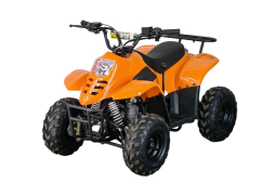 Квадроцикл STALKER 110, фото 1