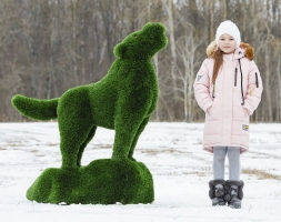 Топиари Волк на камне - газон Deluxe, фото 3