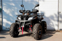 Квадроцикл GRIZZLY 250