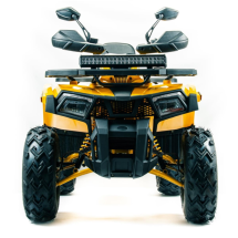 Квадроцикл MOTOLAND 200 Wild Track X Pro (Баланс. вал) (2021 Г.)