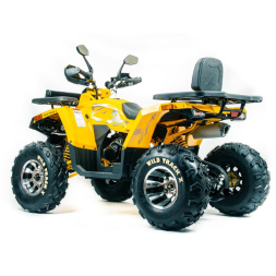 Квадроцикл MOTOLAND 200 Wild Track X Pro (Баланс. вал) (2021 Г.), фото 3