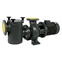 Насос с префильтром Saci Pumps CF-2 550