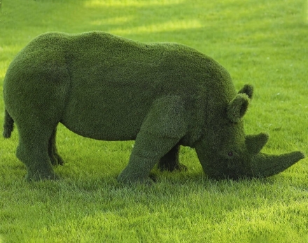 Топиари Носорог, пасется - газон Eco, фото 2