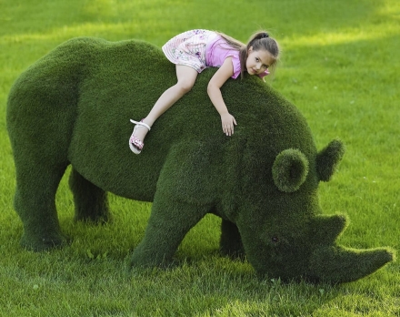 Топиари Носорог, пасется - газон Eco, фото 3