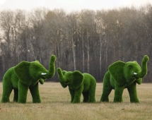Топиари композиция Слоны, большая семья, 3 шт - газон Premium Топиари композиция Слоны, большая семья, 3 шт - газон Premium