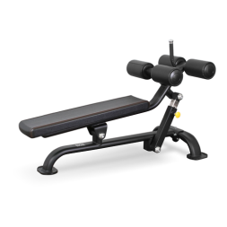 BRONZE GYM BR-1005 Регулируемая скамья для пресса, фото 1