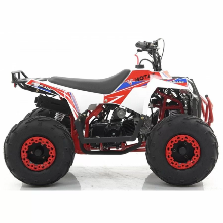 Квадроцикл MOTAX ATV Grizlik A110, фото 22
