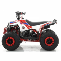 Квадроцикл MOTAX ATV Grizlik A110 Квадроцикл MOTAX ATV Grizlik A110