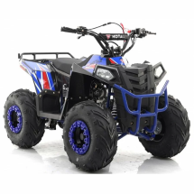 Квадроцикл MOTAX ATV Grizlik A110 Квадроцикл MOTAX ATV Grizlik A110