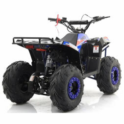Квадроцикл MOTAX ATV Grizlik A110, фото 10