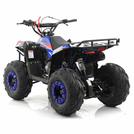 Квадроцикл MOTAX ATV Grizlik A110, фото 9