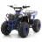Квадроцикл MOTAX ATV Grizlik A110
