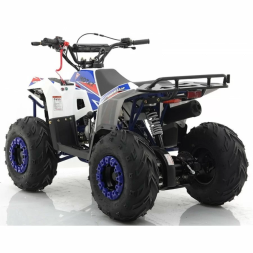 Квадроцикл MOTAX ATV Grizlik A110, фото 3