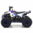 Квадроцикл MOTAX ATV Grizlik A110