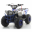 Квадроцикл MOTAX ATV Grizlik A110