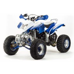 Квадроцикл Motoland DAKAR 250 Квадроцикл Motoland DAKAR 250