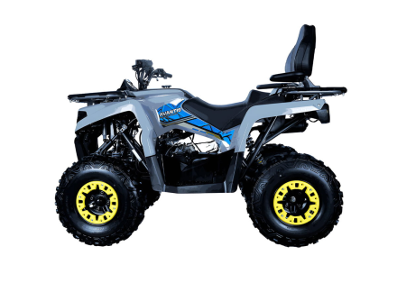 Квадроцикл AVANTIS Forester Long 200 Basic, фото 3