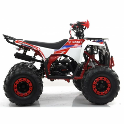 Квадроцикл MOTAX ATV Grizlik A125, фото 11