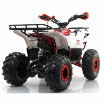 Квадроцикл MOTAX ATV Grizlik A125 Квадроцикл MOTAX ATV Grizlik A125
