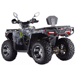 Квадроцикл Dazzle EXR 300, фото 3 Квадроцикл Dazzle EXR 300, фото 3