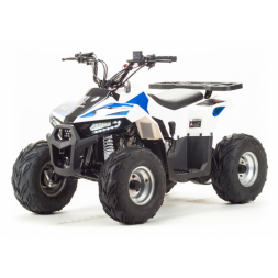 Квадроцикл Motoland EAGLE 110 Квадроцикл Motoland EAGLE 110