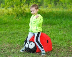 Топиари божья коровка Рита - газон Eco, фото 4