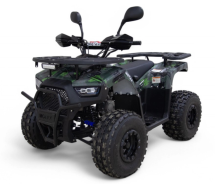 Квадроцикл MOTAX grizlik D125