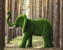 Топиари слон Барон - газон Premium Топиари слон Барон - газон Premium