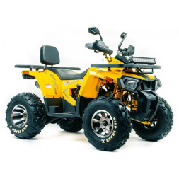 Квадроцикл подростковый MotoLand ATV 200 WILD TRAСK X PRO, фото 8 Квадроцикл подростковый MotoLand ATV 200 WILD TRAСK X PRO, фото 8