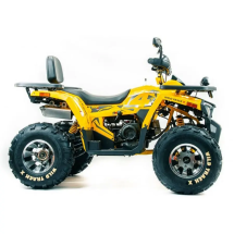 Квадроцикл подростковый MotoLand ATV 200 WILD TRAСK X PRO