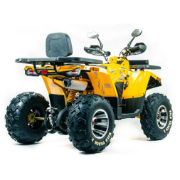 Квадроцикл подростковый MotoLand ATV 200 WILD TRAСK X PRO, фото 6 Квадроцикл подростковый MotoLand ATV 200 WILD TRAСK X PRO, фото 6