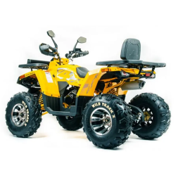 Квадроцикл подростковый MotoLand ATV 200 WILD TRAСK X PRO, фото 4 Квадроцикл подростковый MotoLand ATV 200 WILD TRAСK X PRO, фото 4