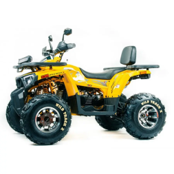 Квадроцикл подростковый MotoLand ATV 200 WILD TRAСK X PRO, фото 3 Квадроцикл подростковый MotoLand ATV 200 WILD TRAСK X PRO, фото 3
